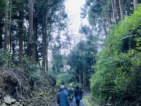 【清境旅遊行程推薦】     國民體驗版五日(含住宿)........<font color=FF0000 size=2>編號5c68t